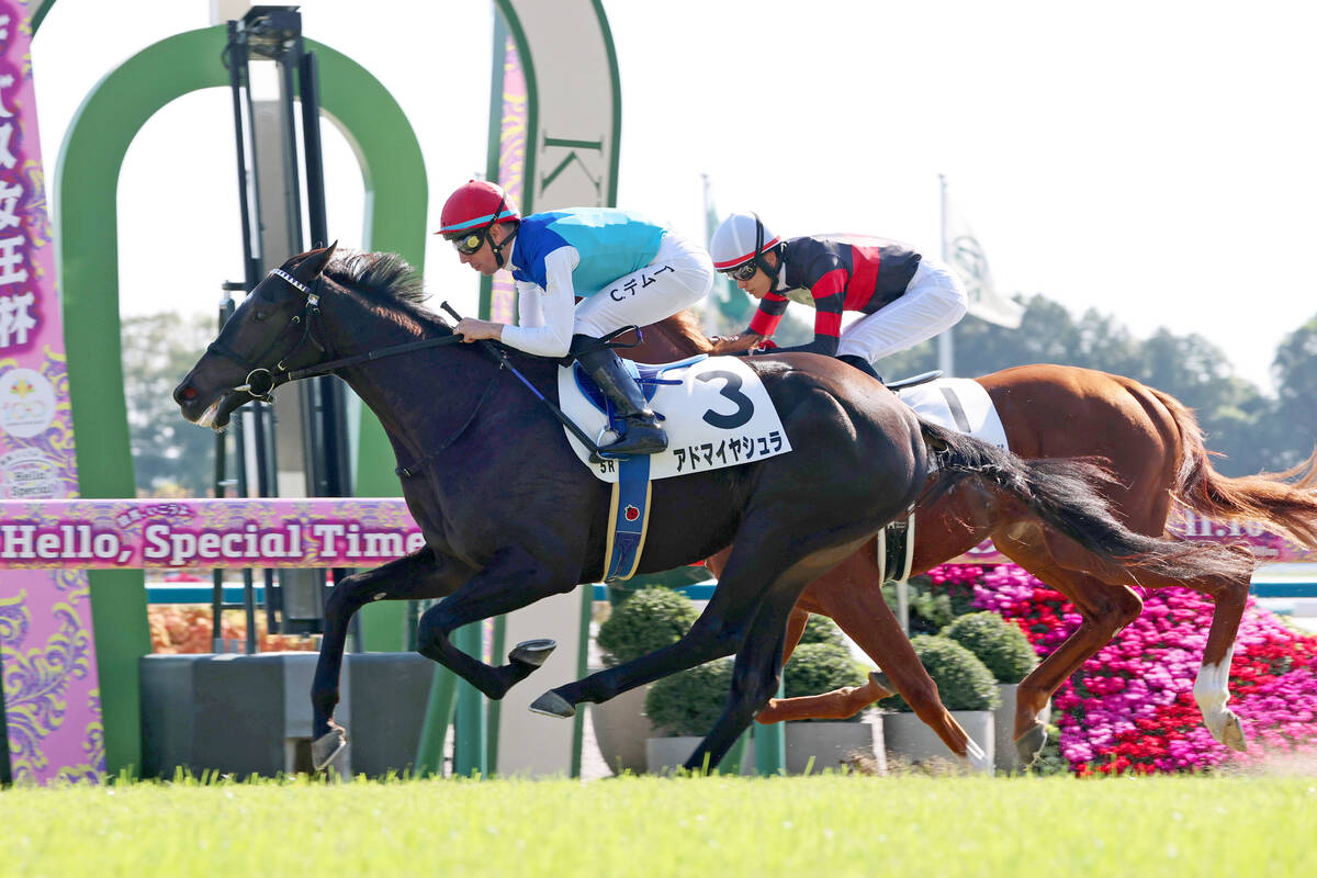 京都5R・2歳新馬】母も兄も重賞ホースのアドマイヤシュラが勝利 C