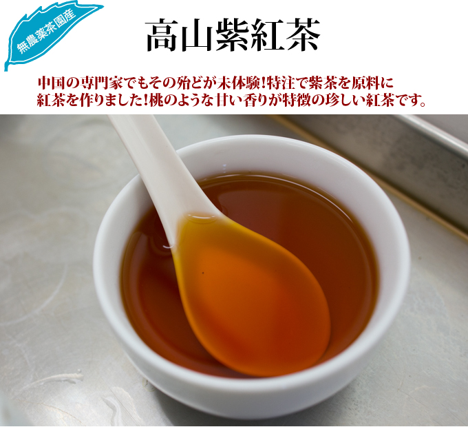 高山紫紅茶 中国紅茶 お茶の専門店HOJO