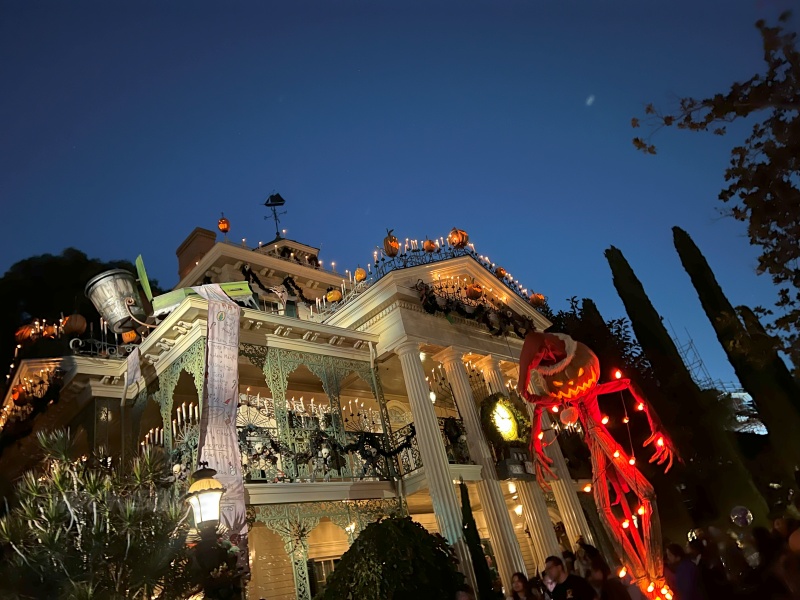 DLR＆DCL】ディズニーランドリゾートのホリデーverのアトラクション2選