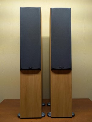 Monitor Audio Bronze BR5 Floorstanding Speakers – Bronze Reference