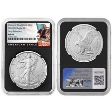 NGC Certified American Eagle MS 69 Silver Bullion Coins for sale