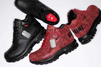 Supreme x Nike ACG Air Max Goadome Snakeskin Debossed | eBay