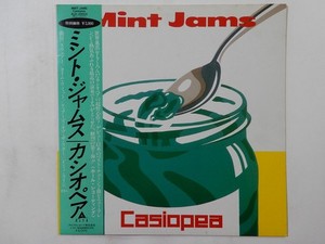 Mint Jams Casiopea | eBay