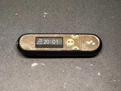 Sony NW-E042 Walkman Portable Music Player MP3 Player Gold Japan