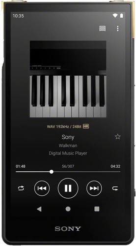 SONY NW-A46HN WALKMAN A40 Series 32GB Grayish Black Audio Player