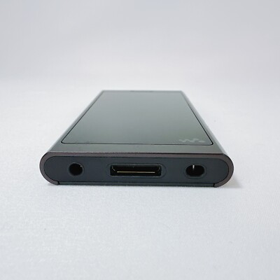 Sony NW-A55 black Walkman Digital Audio Player Hi-Res | eBay