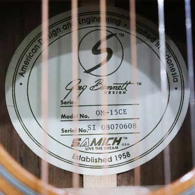 Electric Acoustic Guitar Greg Bennett RIO GRANDE OM-15CE Natural S