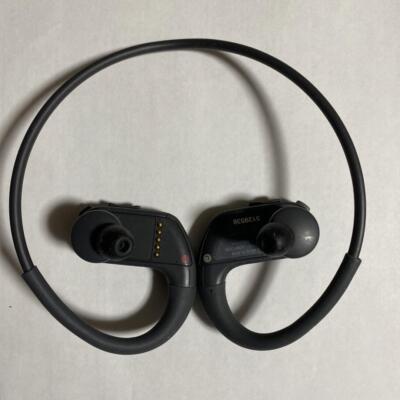 SONY Walkman W Series NW-WS413(B) | eBay
