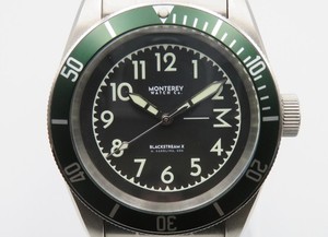 Monterey Watch | eBay