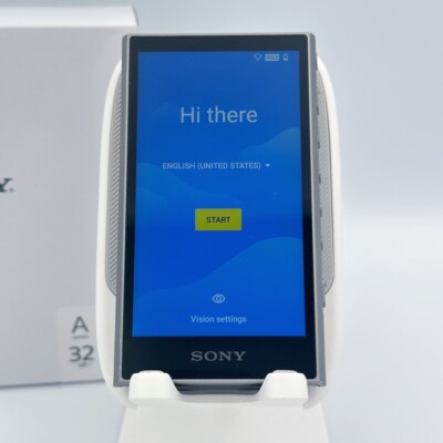 SONY NW-A306 Gray WALKMAN 32GB Hi-Res Audio Player English
