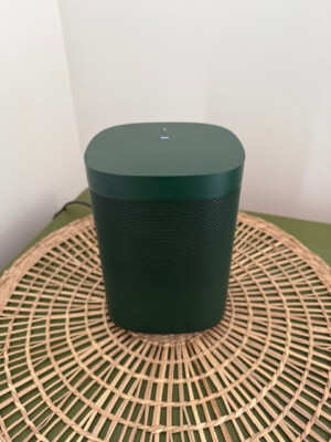 SONOS ONE HAY Limited Edition Smart Speaker - GREEN | eBay