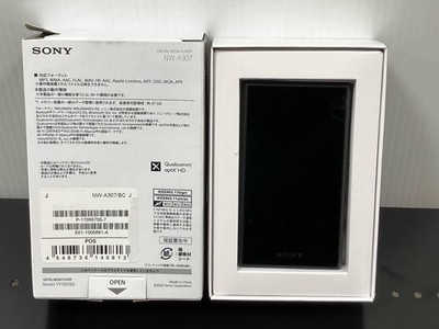 Sony WALKMAN 64GB NW-A307 Audio Player | eBay