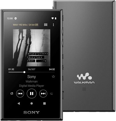 SONY NW-A45 Digital Audio Player DAP Walkman 16GB Grayish Black | eBay