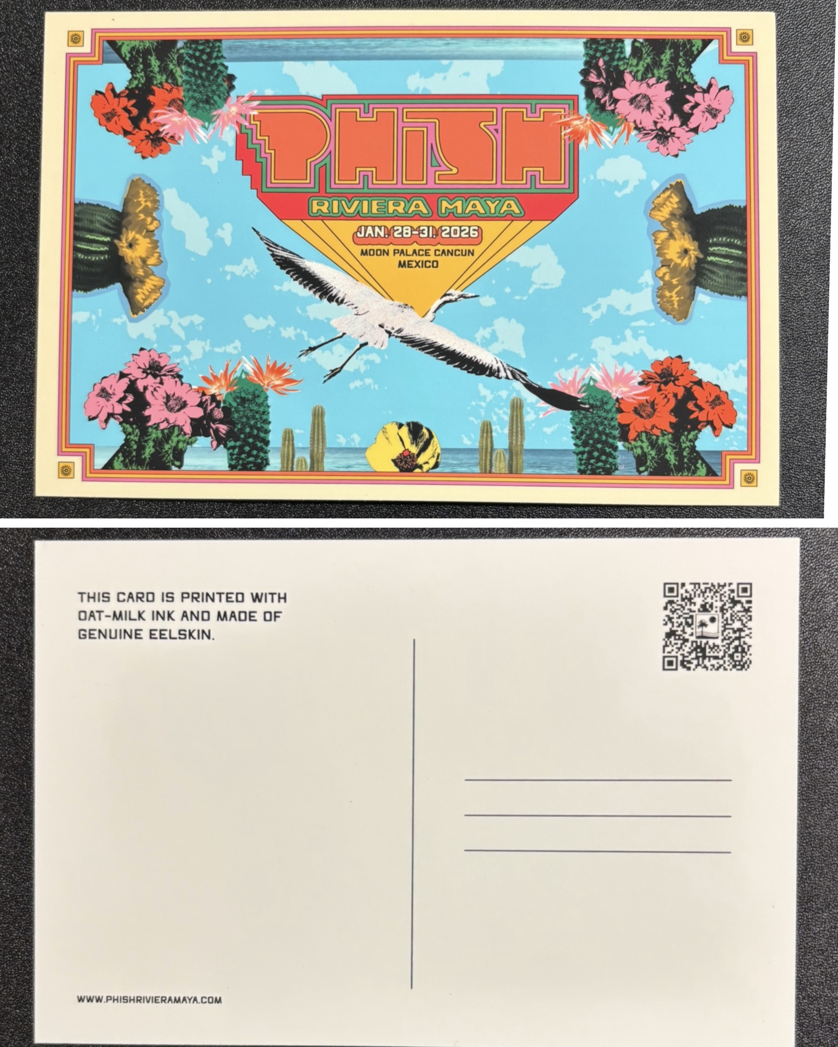 Phish.Net: The Siket Disc Vinyl [Albert Pressing]