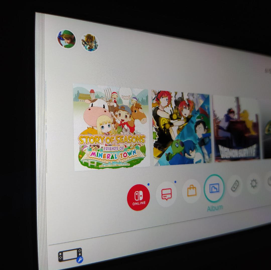 Switch Lite の画面の左側に縦線が入っちゃった : r/Switch