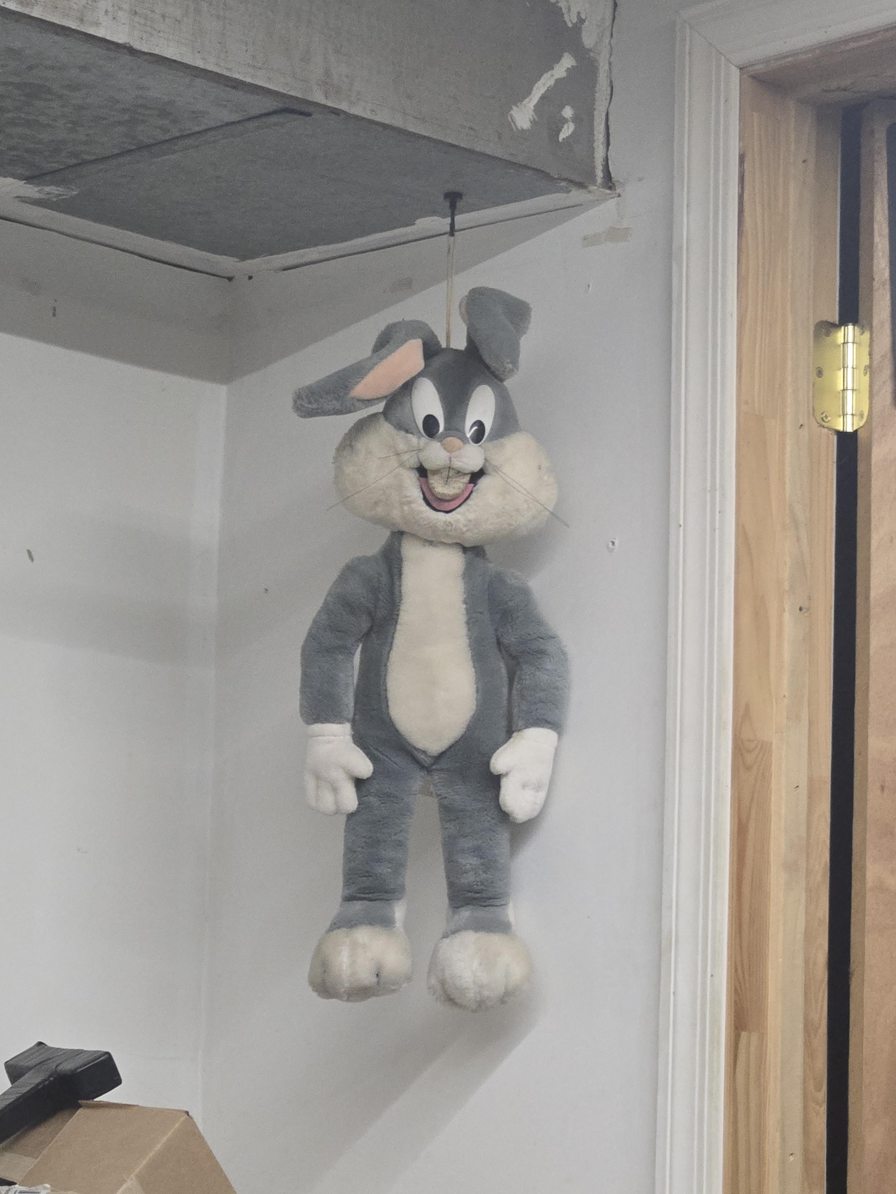 Bugs Bunny Plush Doll. : r/looneytunes