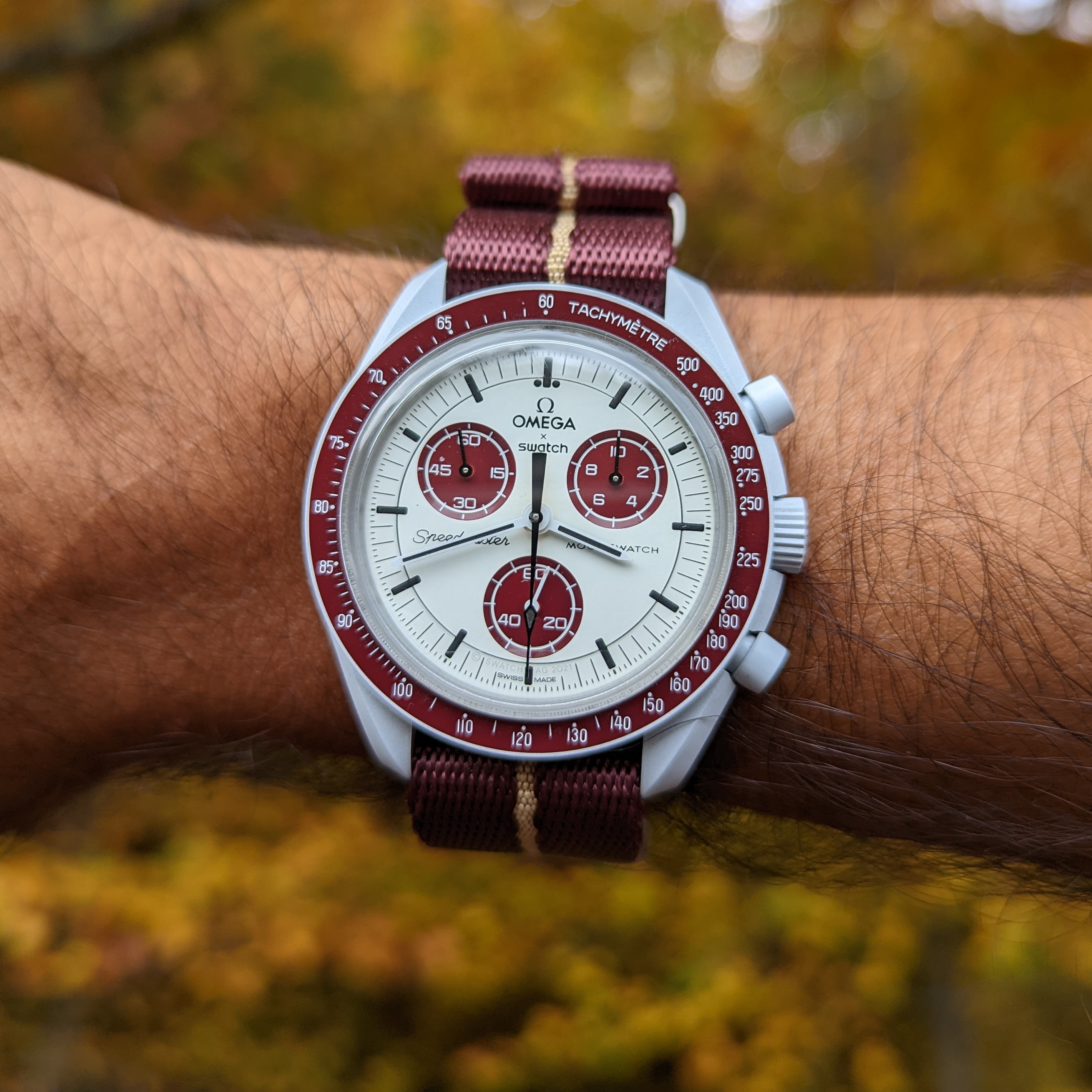 Swatch Moonswatch Mission to Pluto] Perfect fit for Autumn : r/Watches