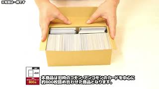 旧枠】ジャンクカード 約800枚 | 日本最大級 MTG通販サイト「晴れる屋」