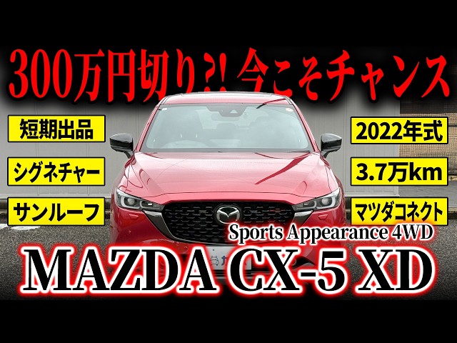 Sunroof x BOSE x Signature] 