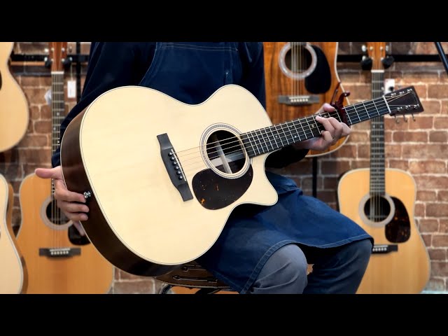 Martin GPC-16E-01 Rosewood w/Fishman Matrix VT Enhance #2954986