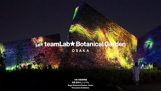 チームラボ ボタニカルガーデン 大阪（7-11月）/ teamLab Botanical