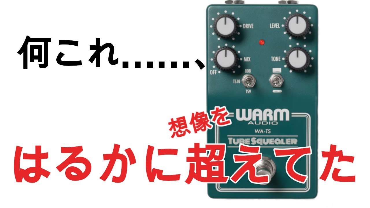 What's This?! Warm Audio's New Tube Squealer is Amazing! [Guitar