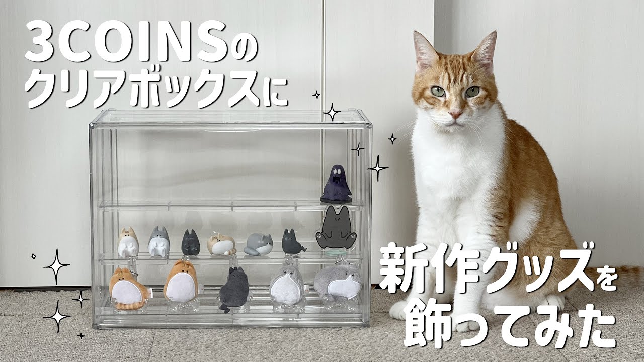 I tried using 3COINS' multi-clear box! - YouTube