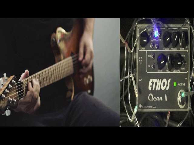 Dumble Overdrive Special - Tones in a box - Ethos Clean II Custom