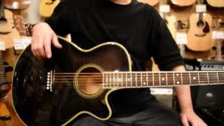 Takamine PT-118【USED/1984年】（中古）【楽器検索デジマート】