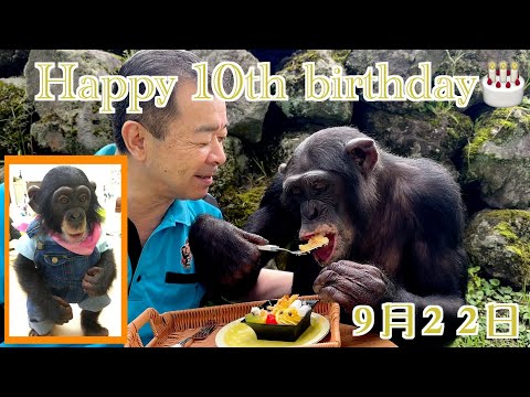 パンくん宮沢さんTV - YouTube