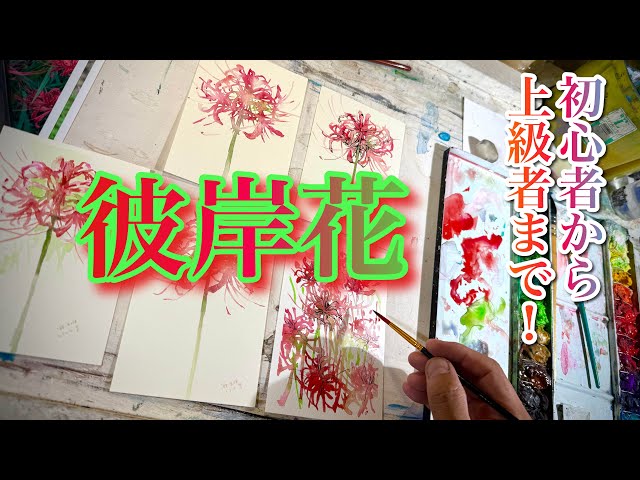 449【初心者から上級者まで！】彼岸花を描く！描ける！ - YouTube