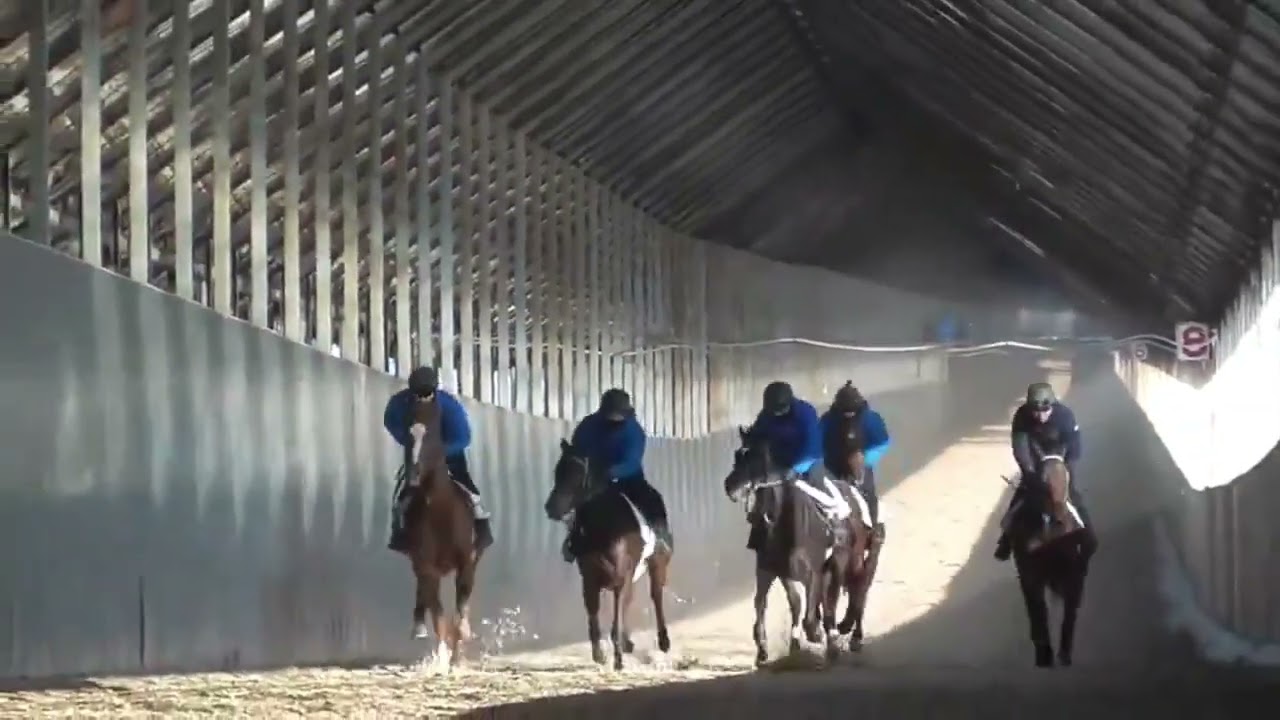 My Gift to You Fuku-chan #623 - YouTube