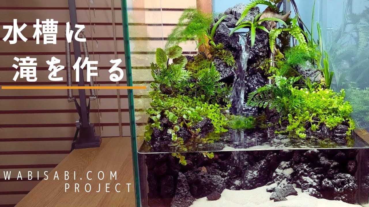アクアテラリウムの作り方】滝の流れる水槽を作る - YouTube