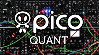 Erica Synths Pico Quant— Clockface Modular