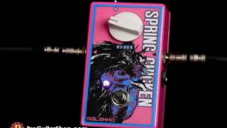 Malekko Spring Chicken Reverb - What To Know & Where To Buy