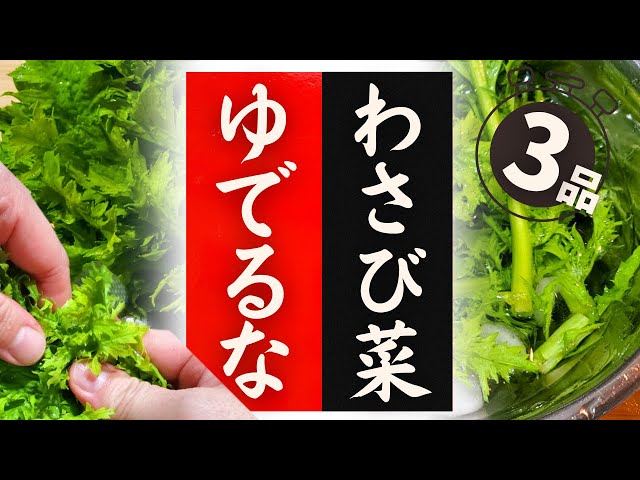 How to eat wasabi greens! 3 surprisingly delicious recipes! - YouTube