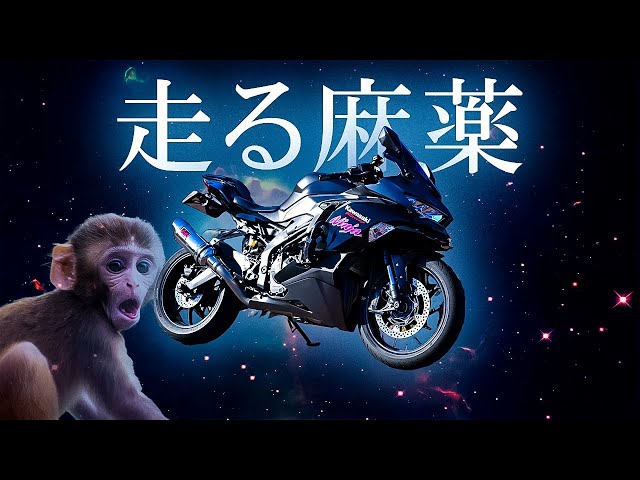 やる気にさせるチンパンジーサウンド【ZX25R/モトブログ】 - YouTube
