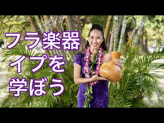 基礎から学ぶフラ楽器】プイリの基本的な使い方、購入するときのコツ