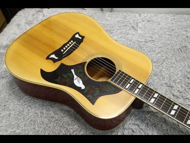 Rare 1970's made Japan VintageMORRIS Acoustic Guitar WD-30 DOVE
