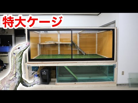 Oversized cage for keeping monitor lizard - YouTube
