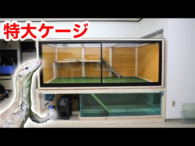 A huge cage for keeping monitor lizard has been completed - YouTube