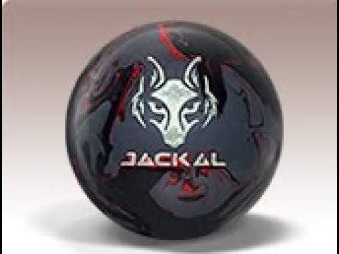 井口遼太プロ MOTIV ジャッカル・オニキス（JACKAL ONYX）軌道ビデオ