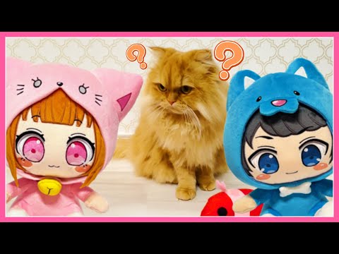 Introducing Chiropino's cat! Meow! 🐈🐈💛 - YouTube