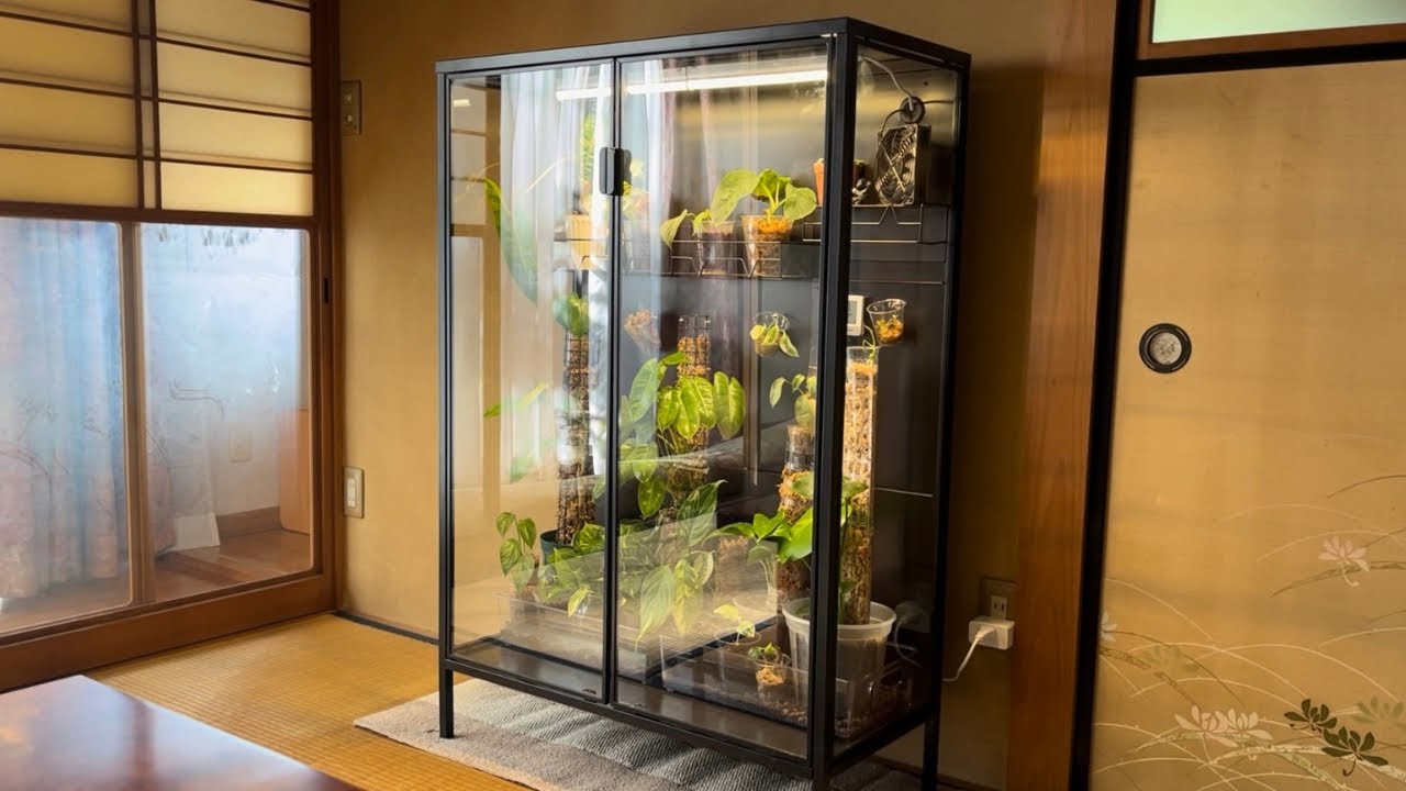 How I built IKEA GREENHOUSE CABINET (Rudsta) - YouTube