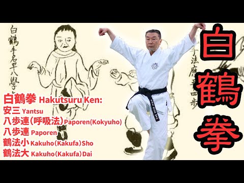 秘拳 白鶴門食鶴拳 劉銀山 拳法 武術 少林寺 鶴拳 Amazon.co.jp: 秘拳