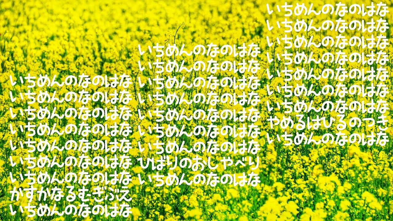 A Field of Rape Flowers 🟡Yamamura Bocho [Landscape ~ Pure Silver