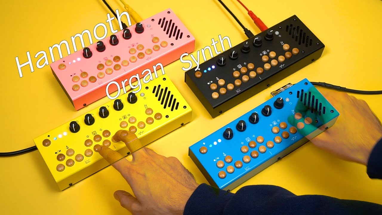 Critter & Guitari - Bolsa Bass - YouTube