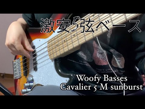 激安5弦ベース】Woofy Basses!!/Woofy Basses Cavalier 5 Mを音出し