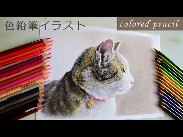 色鉛筆 リアル】色鉛筆でネコを描く/イラストメイキング - YouTube