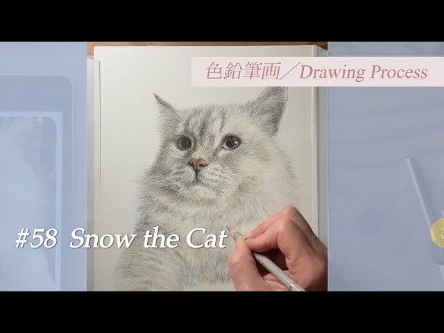 色鉛筆画 colored pencil drawings】 #58 Snow the Cat - YouTube